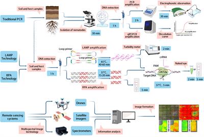 Current advances in the identification of plant nematode diseases: From lab assays to in-field diagnostics